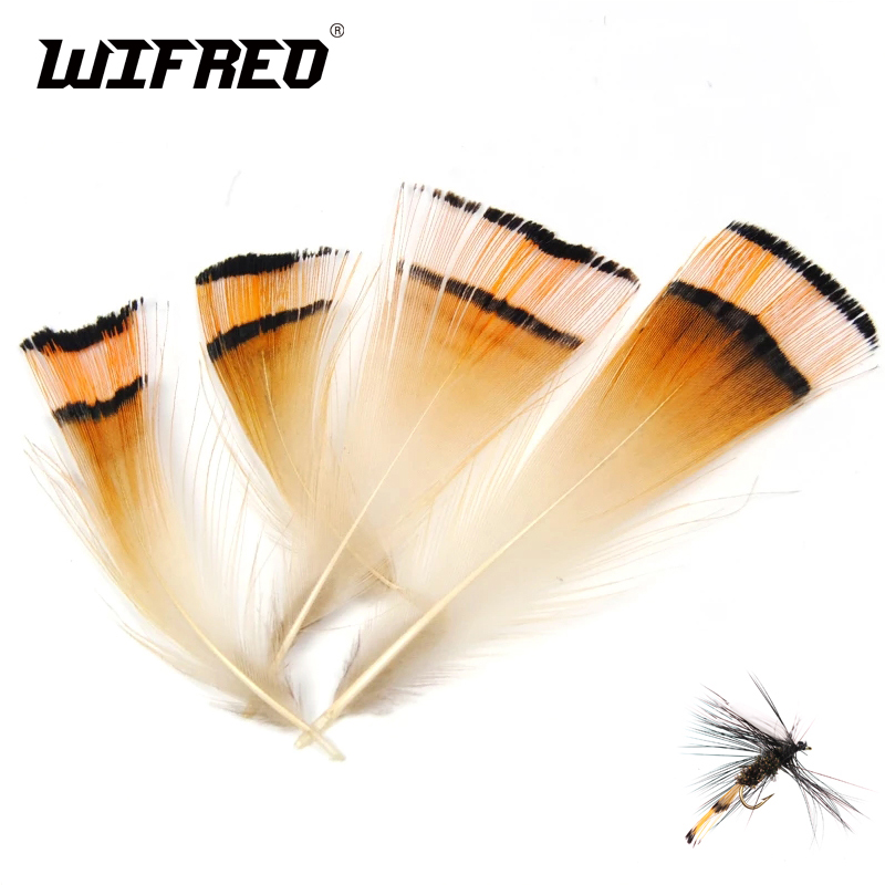 50 pces cor natural ouro cabeç - Fishing Equipment Brands avaliação e preço